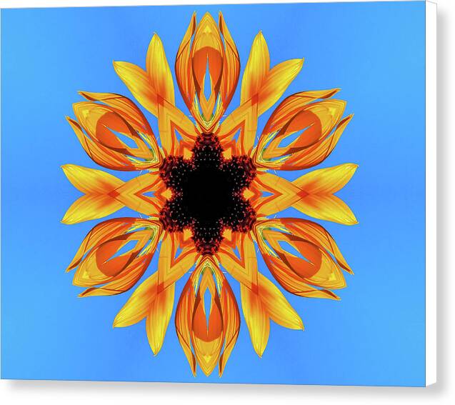 Sunflower Blues Mandala - Canvas Print