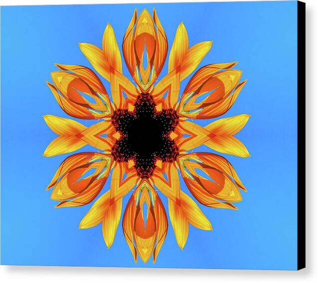 Sunflower Blues Mandala - Canvas Print