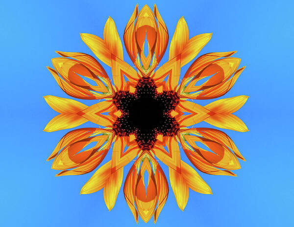 Sunflower Blues Mandala - Art Print