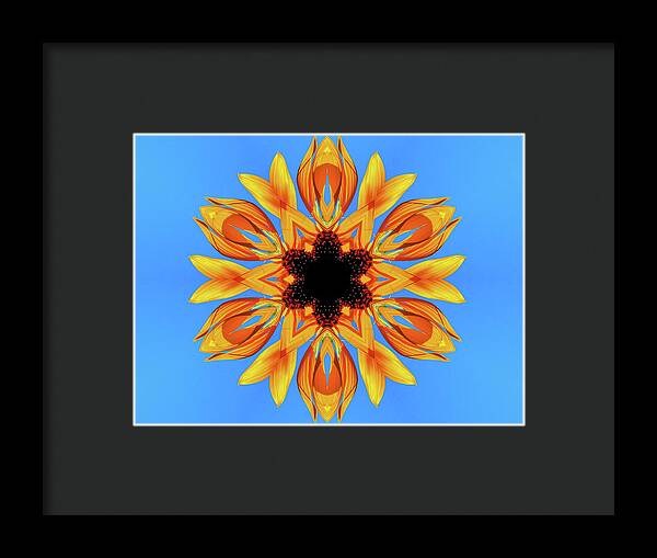 Sunflower Blues Mandala - Framed Print