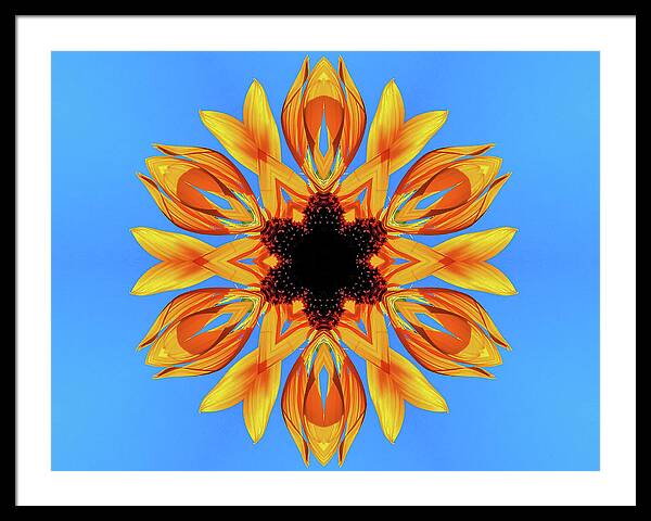 Sunflower Blues Mandala - Framed Print