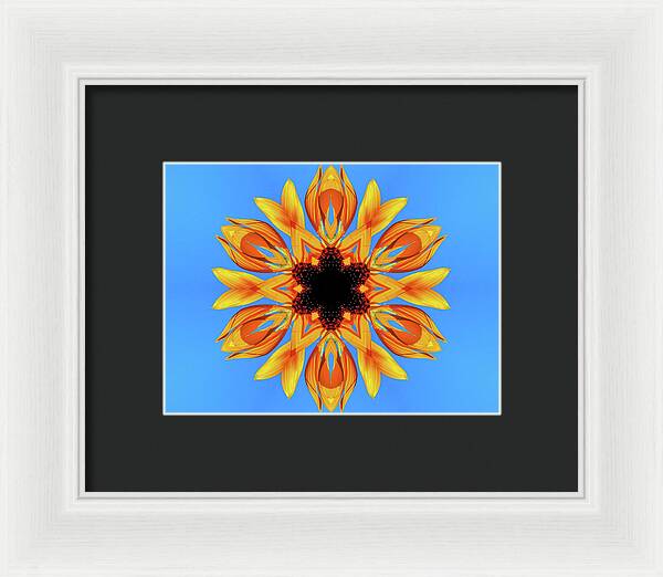 Sunflower Blues Mandala - Framed Print
