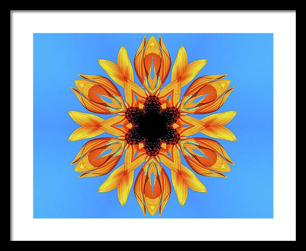 Sunflower Blues Mandala - Framed Print