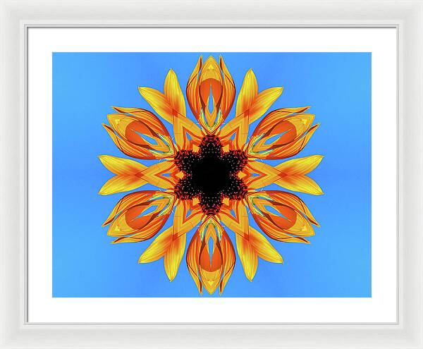 Sunflower Blues Mandala - Framed Print
