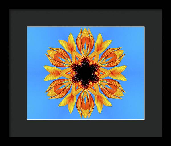Sunflower Blues Mandala - Framed Print