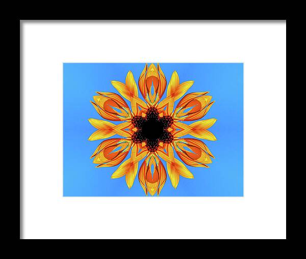 Sunflower Blues Mandala - Framed Print