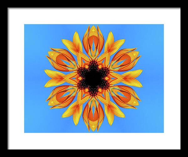Sunflower Blues Mandala - Framed Print
