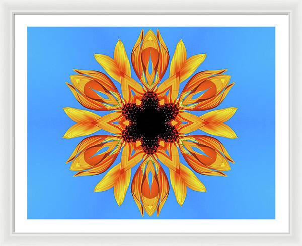 Sunflower Blues Mandala - Framed Print