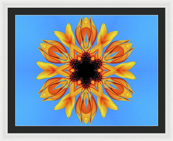 Sunflower Blues Mandala - Framed Print