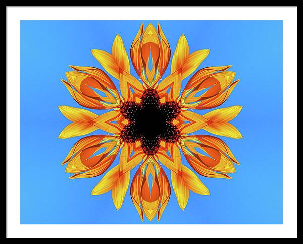 Sunflower Blues Mandala - Framed Print