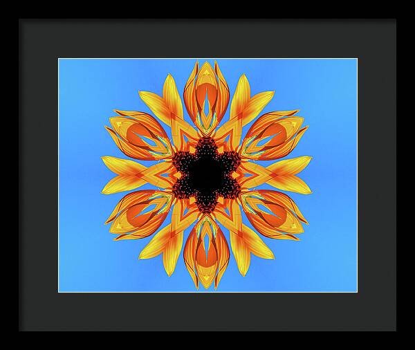 Sunflower Blues Mandala - Framed Print