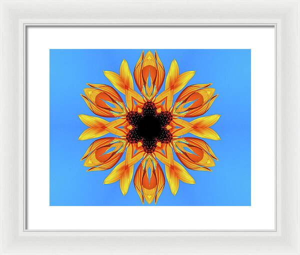 Sunflower Blues Mandala - Framed Print