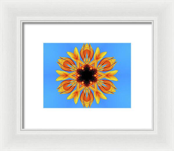 Sunflower Blues Mandala - Framed Print