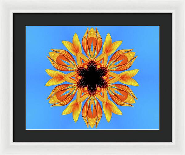 Sunflower Blues Mandala - Framed Print