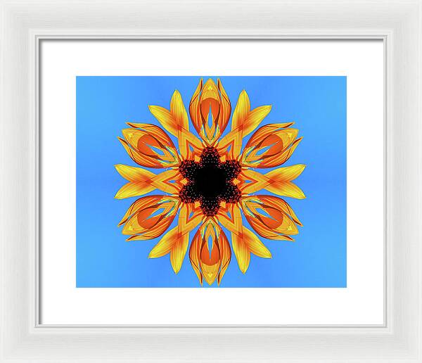 Sunflower Blues Mandala - Framed Print