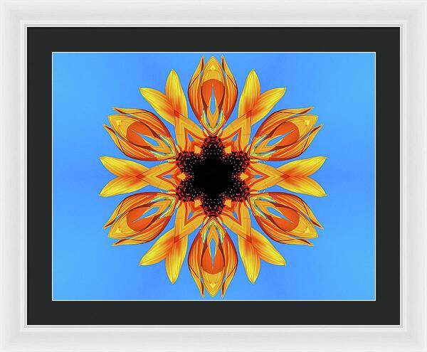 Sunflower Blues Mandala - Framed Print