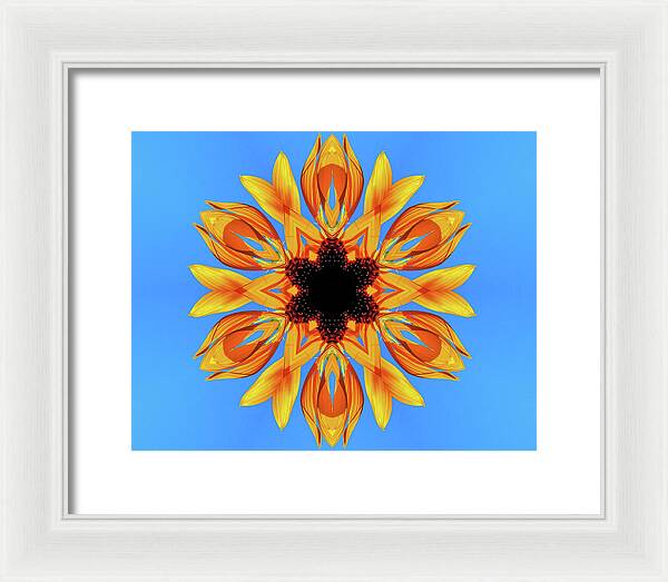 Sunflower Blues Mandala - Framed Print