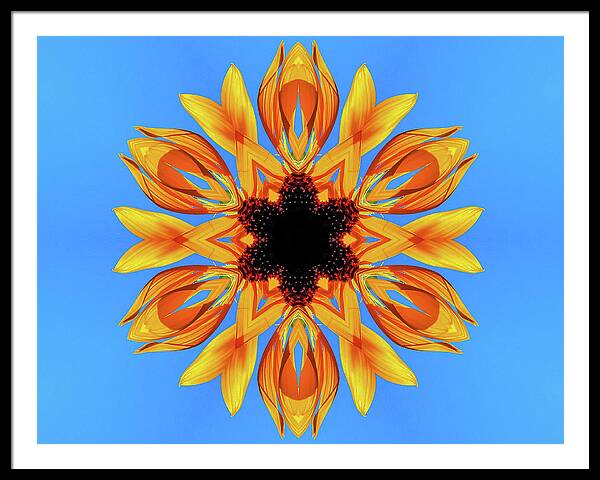 Sunflower Blues Mandala - Framed Print
