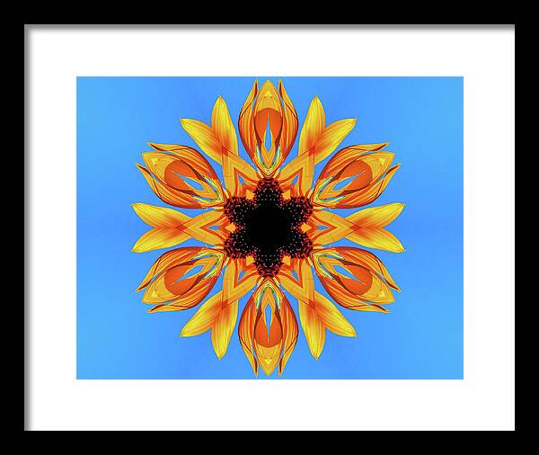 Sunflower Blues Mandala - Framed Print