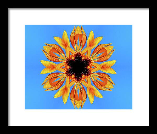 Sunflower Blues Mandala - Framed Print
