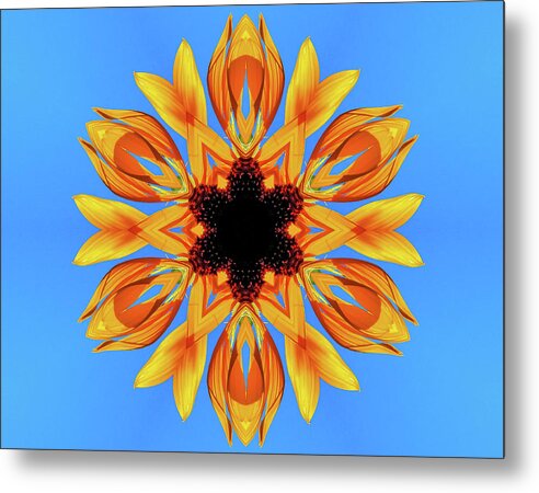 Sunflower Blues Mandala - Metal Print