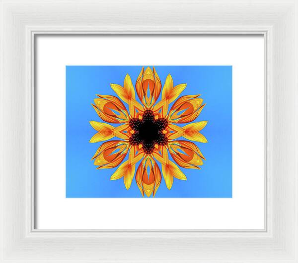 Sunflower Blues Mandala - Framed Print