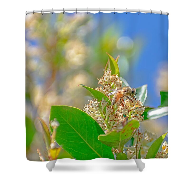 Sunny Morning of a Busy Bee - Shower Curtain