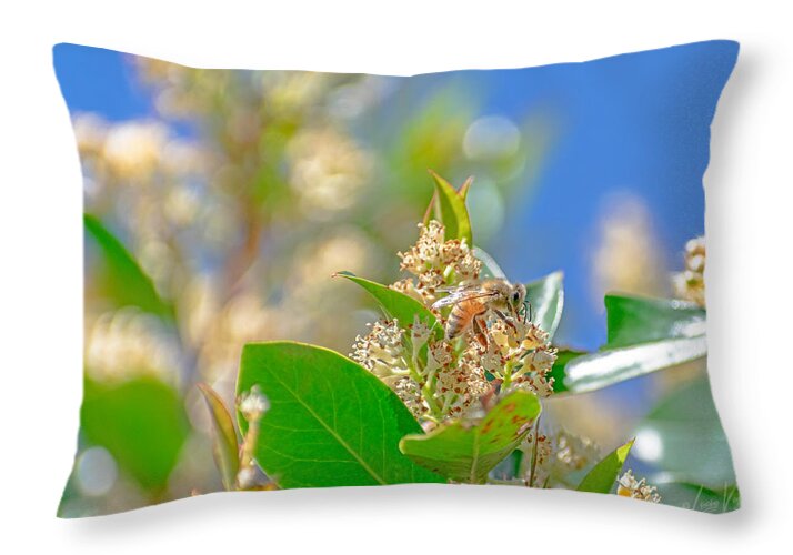 Sunny Morning of a Busy Bee - Throw Pillow
