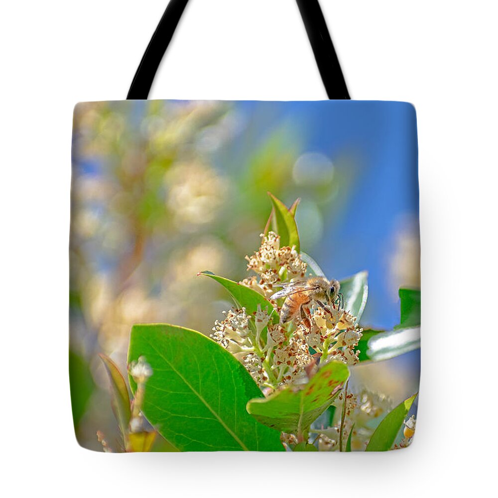 Sunny Morning of a Busy Bee - Tote Bag