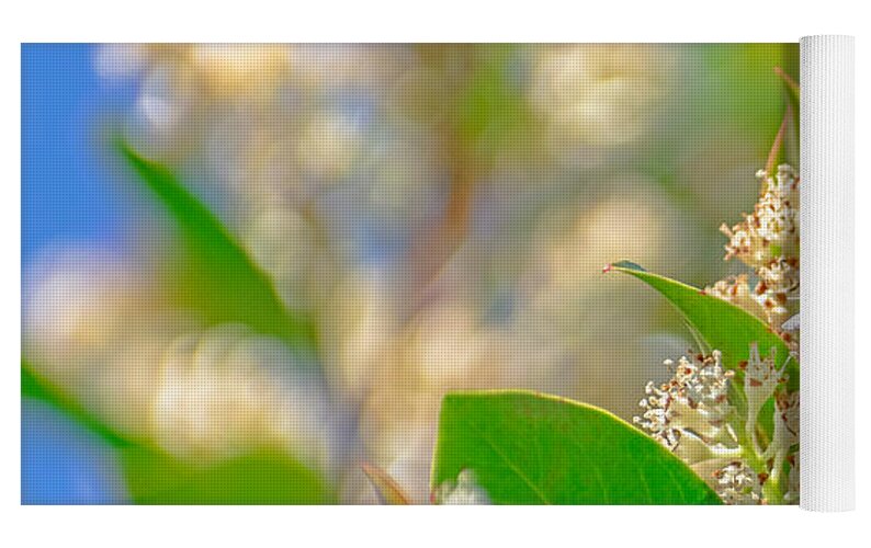 Sunny Morning of a Busy Bee - Yoga Mat