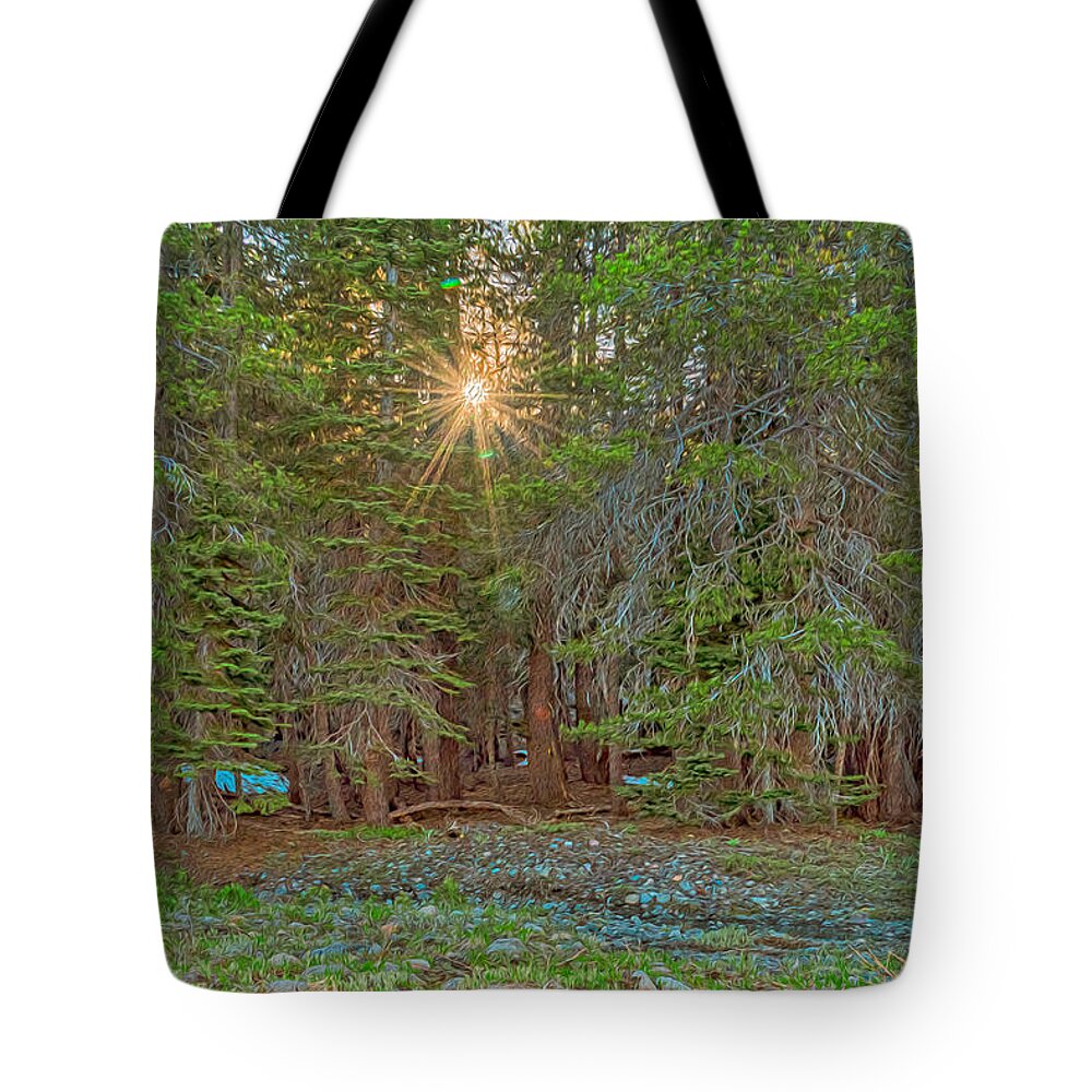 Sunrays Peeking Through the Pines in Yosemite - Tote Bag