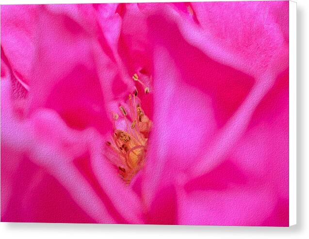 The inside of a Magenta Flower Landscape - Canvas Print