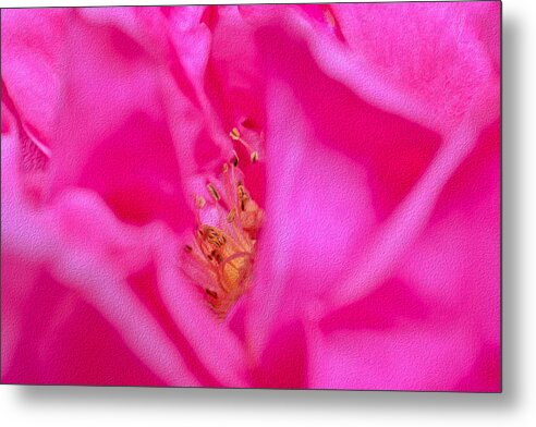 The inside of a Magenta Flower Landscape - Metal Print