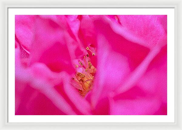 The inside of a Magenta Flower Landscape - Framed Print