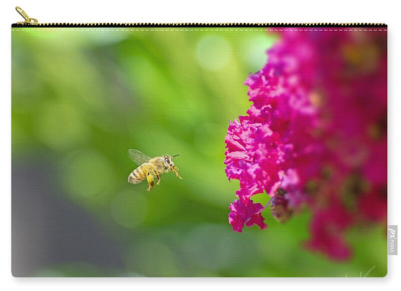 The Love of a Bee for Magenta Flowers - Zip Pouch