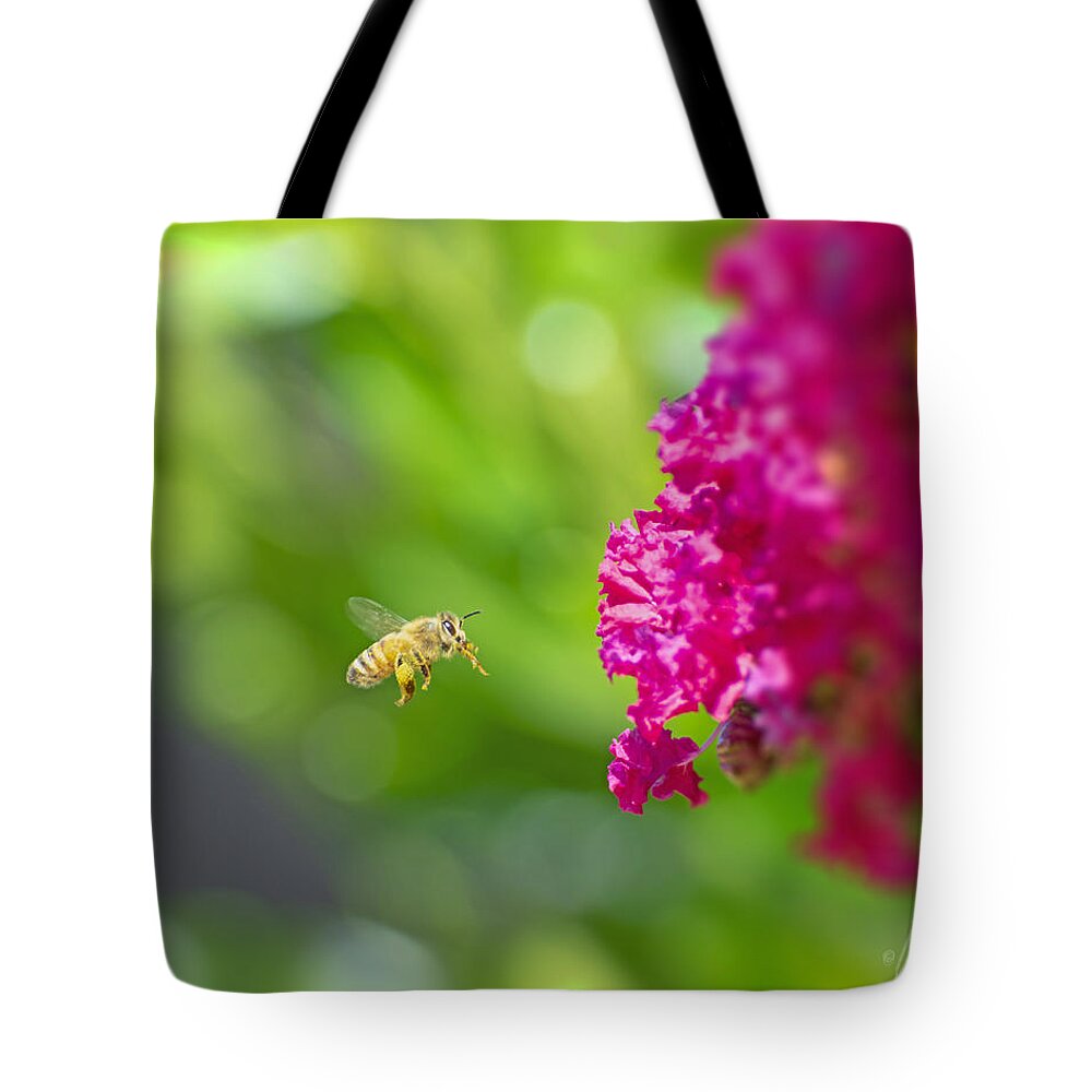 The Love of a Bee for Magenta Flowers - Tote Bag