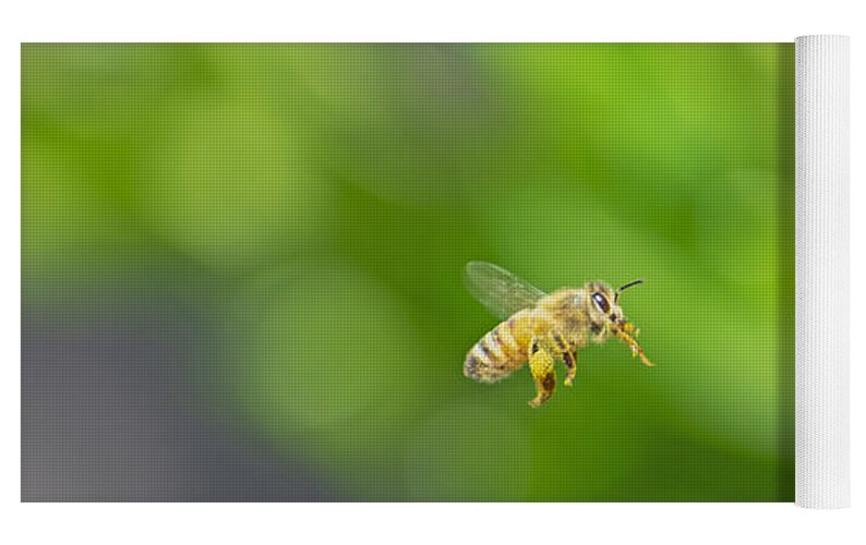 The Love of a Bee for Magenta Flowers - Yoga Mat