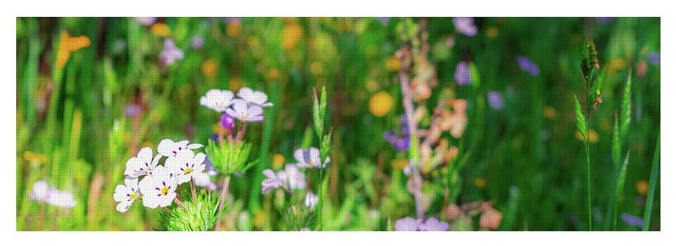 Tiny Flowers in the Meadow - Yoga Mat
