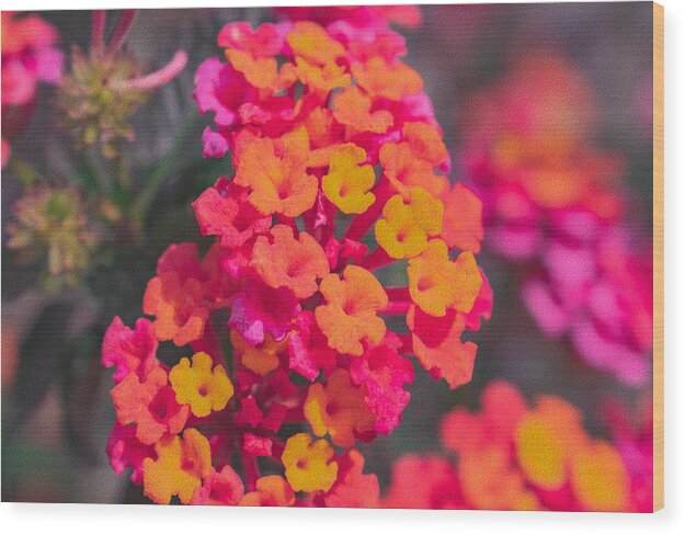 Tiny Flowers Landscape - Wood Print