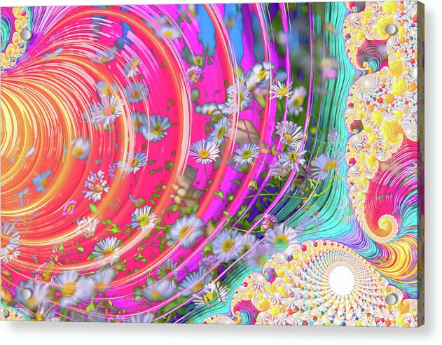 Vibrant and Colorful Daisy Abstract Art - Acrylic Print