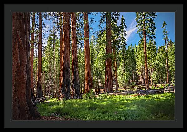 Wall art Wonders in Yosemite National Park - Framed Print