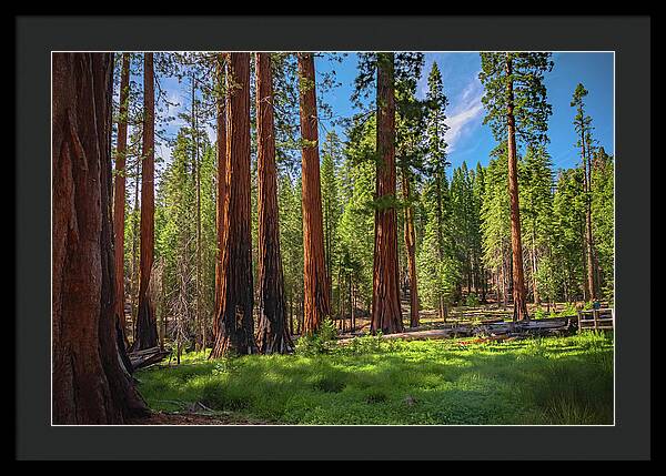 Wall art Wonders in Yosemite National Park - Framed Print