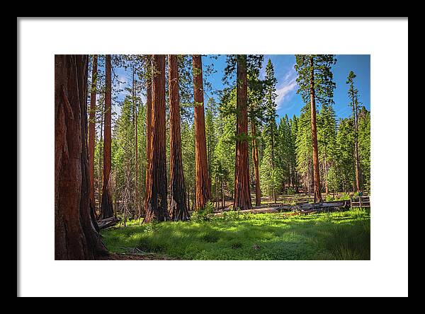 Wall art Wonders in Yosemite National Park - Framed Print