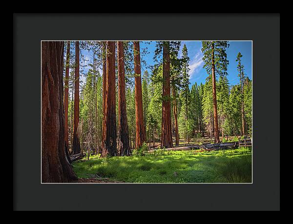 Wall art Wonders in Yosemite National Park - Framed Print