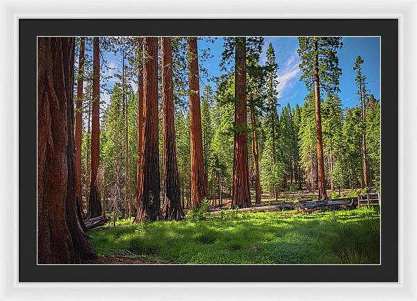 Wall art Wonders in Yosemite National Park - Framed Print