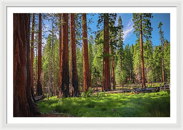 Wall art Wonders in Yosemite National Park - Framed Print