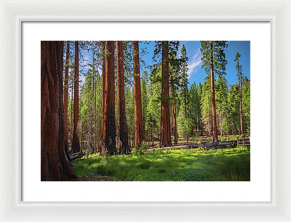 Wall art Wonders in Yosemite National Park - Framed Print