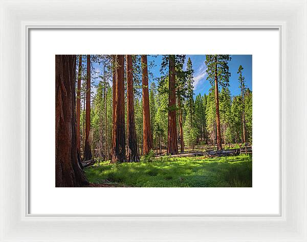 Wall art Wonders in Yosemite National Park - Framed Print