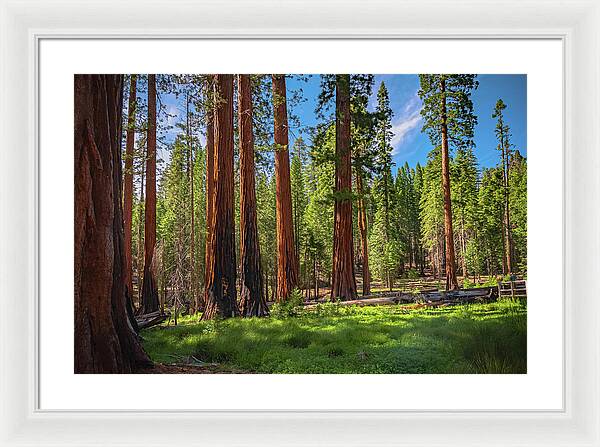 Wall art Wonders in Yosemite National Park - Framed Print