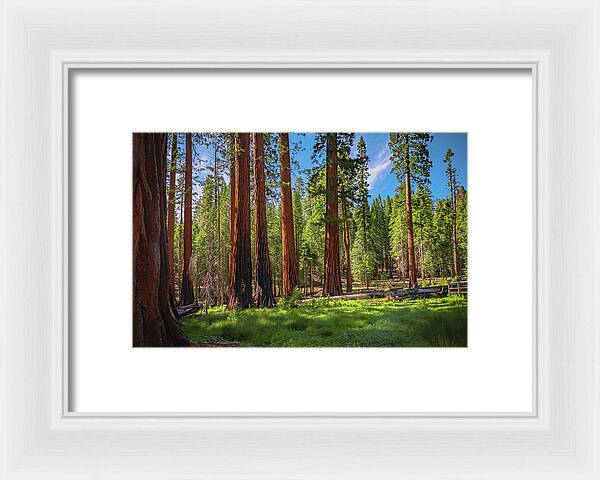 Wall art Wonders in Yosemite National Park - Framed Print